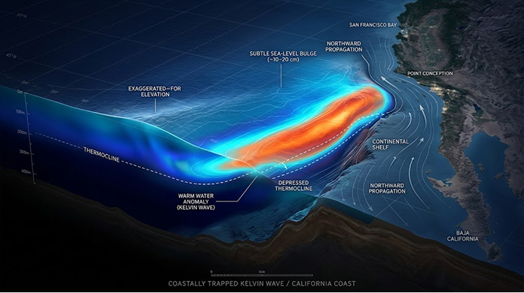 A Kelvin Wave Is Raising The Ocean From Below